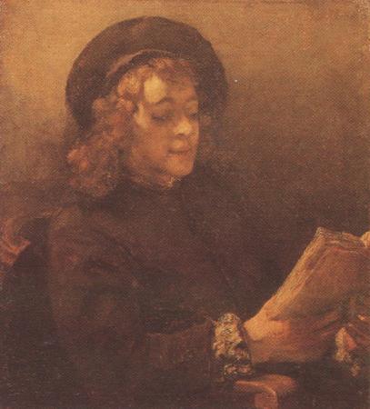 REMBRANDT Harmenszoon van Rijn Titus Reading (mk33) oil painting picture